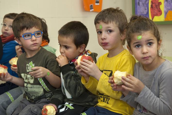 Los niños en edad escolar necesitan alimentarse para desarrollarse, evitar enfermedades y tener energía para estudiar.  Pero también necesitan conocimientos y ayuda para optar por alimentos sanos.